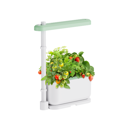 Simplicity Indoor Gardening System HGS08-1CB Makes greenery burgeoned under your roof from china(chinese)