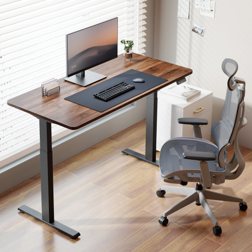 Sturdy Single-Motor Sit-Stand Desk (Standard Column) S22-22D  from china(chinese)