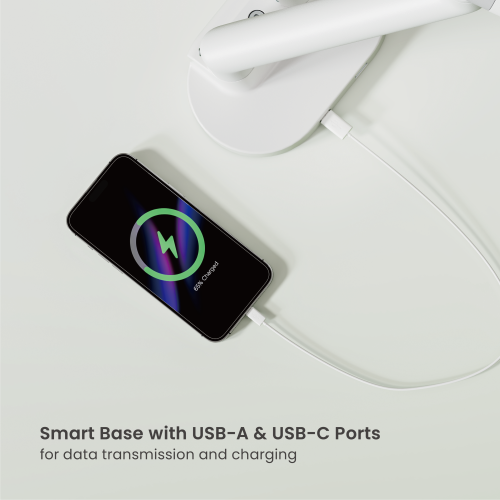 Nova Slim Mechanical Spring Dual Monitor Arm with USB-A & USB-C Ports LDT105-C024UC Slim, Sleek, Smooth from china(chinese)