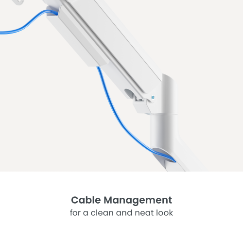 Dual Screen FlexPrecision Cost-Effective Gas Spring Monitor Arm  LDT117-C024  from china(chinese)