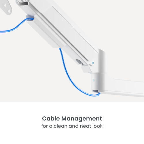 Dual Screen Pole-Mounted FlexPrecision Cost-Effective Mechanical Spring Monitor Arm  LDT117-C024P  from china(chinese)