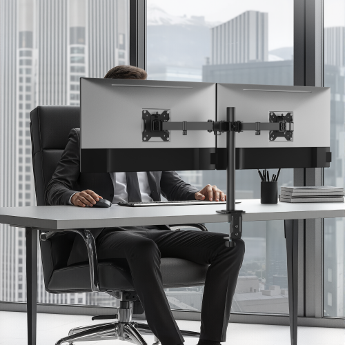 Economy Articulating Dual Monitor Arm LDT110-C024 Stable and Cost-Effective from china(chinese)