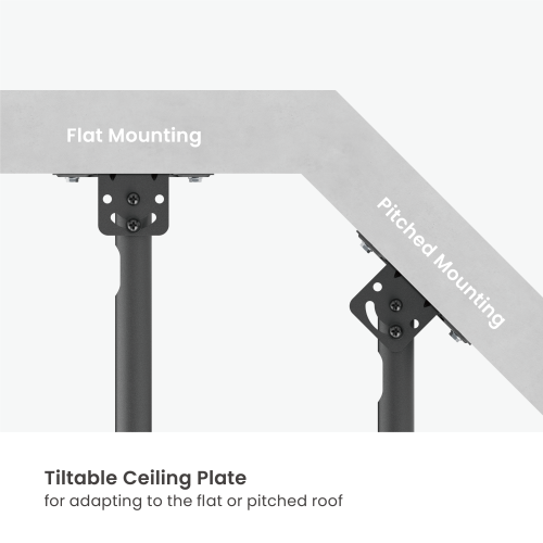 Economy TV Ceiling Mount PLB-CE1644A For most 23"-55" TVs up to 35kg/77lbs from china(chinese)