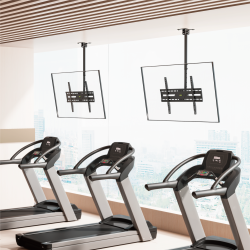 Economy TV Ceiling Mount