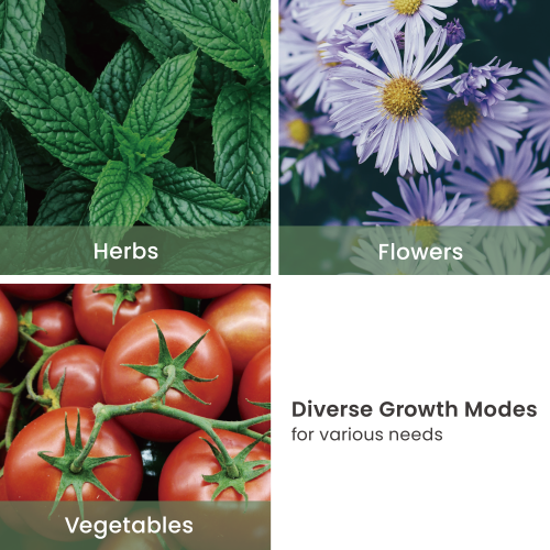 Simplicity Indoor Gardening System HGS08-1CB Makes greenery burgeoned under your roof from china(chinese)