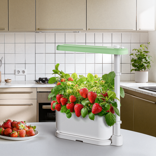 Simplicity Indoor Gardening System HGS08-1CB Makes greenery burgeoned under your roof from china(chinese)