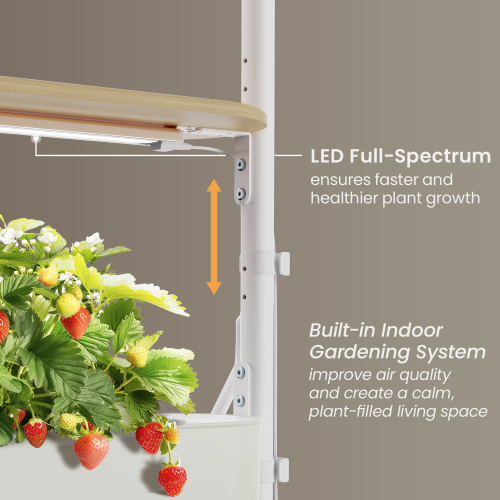 Nature-Inspired TV Cart with Built-in Indoor Gardening System FS60-46FW-01  from china(chinese)