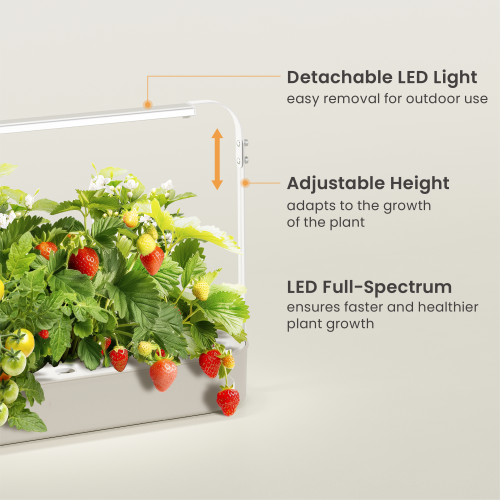 Indoor & Outdoor Tabletop Gardening System HGS03-1CB Gardening Without Limits from china(chinese)