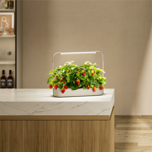 Indoor & Outdoor Tabletop Gardening System HGS03-1CB Gardening Without Limits from china(chinese)