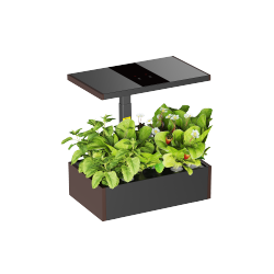 Thriving Indoor Gardening System with Smart Control Panel