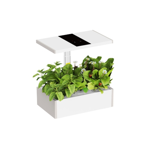Thriving Indoor Gardening System with Smart Control Panel HGS02-1CB Year-Round Growth, Every Day Abundant from china(chinese)