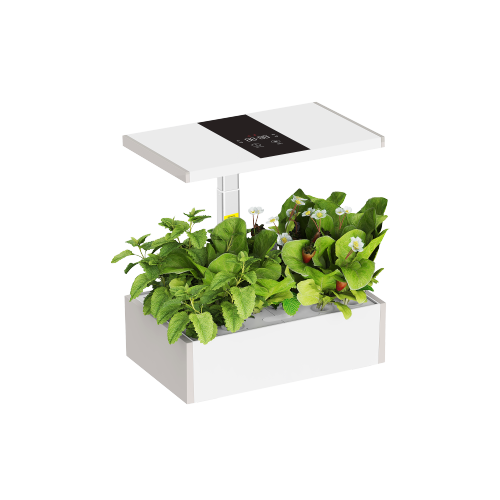 Thriving Indoor Gardening System with Advanced Control Panel HGS02-2CD Year-Round Growth, Every Day Abundant from china(chinese)