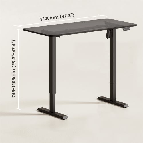 Super Economy Single-Motor Sit-Stand Desk S24-22R-B Promotes ergonomic postures for peak productivity. from china(chinese)