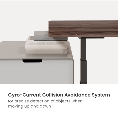 PowerSwift Brushless Dual-Motor Sit-Stand Desk (Standard) M17-23D Heavy-duty enough to load up to 180kg (396lbs)  from china(chinese)