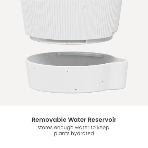 Indoor Self-Watering Planters with Bracket FP01-1 No daily watering needed and perfect for plant stands to create your garden corner. from china(chinese)