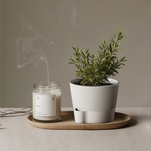 Indoor Self-Watering Planters with Bracket FP01-1 No daily watering needed and perfect for plant stands to create your garden corner. from china(chinese)