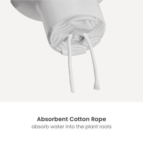 Indoor Self-Watering Planters with Bracket FP02-1 No daily watering needed and perfect for plant stands to create your garden corner. from china(chinese)