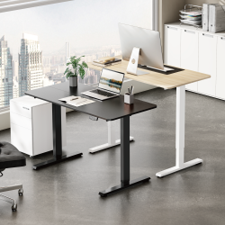 Cost-Effective Single-Motor Sit-Stand Desk