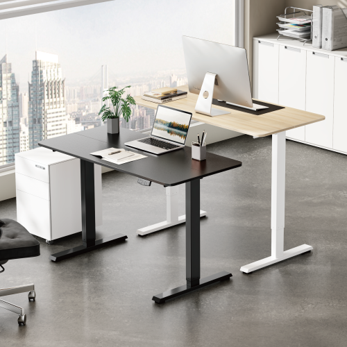 Cost-Effective Single-Motor Sit-Stand Desk S25-22R-B Brings comfort and modern elegance to everyday work. from china(chinese)