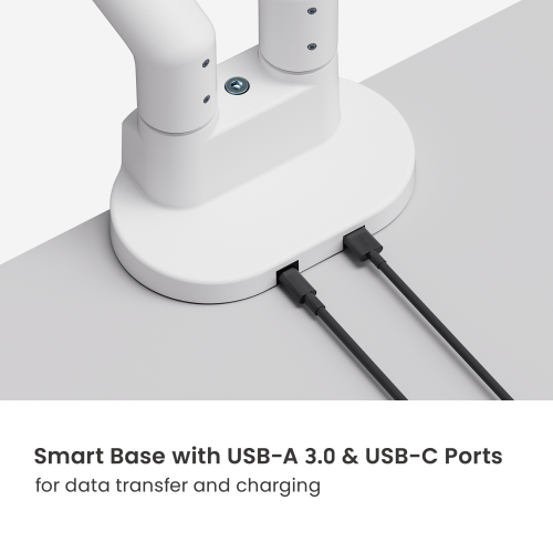 SlimBrace Dual-Screen Heavy-Duty Gas Spring Monitor Arm with USB-A & USB-C Ports LDT102-C024UC Balances elegance and strength. from china(chinese)