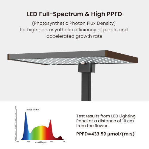 Thriving Indoor Gardening System with Advanced Control Panel HGS02-2CD Year-Round Growth, Every Day Abundant from china(chinese)