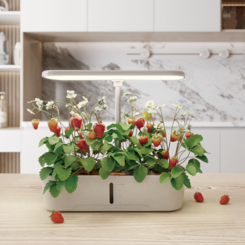 Indoor Gardening System with Advanced Control Panel HGS01-2CD Grow 12 Plants at Once from china(chinese)