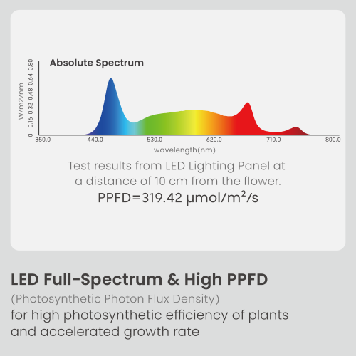 Stylish Transparent-Tank Indoor Gardening System (Basic Control Panel) HGS15-1CB Designed for Style, Built for Growth. from china(chinese)