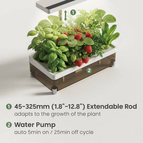 Stylish Transparent-Tank Indoor Gardening System (Basic Control Panel) HGS15-1CB Designed for Style, Built for Growth. from china(chinese)