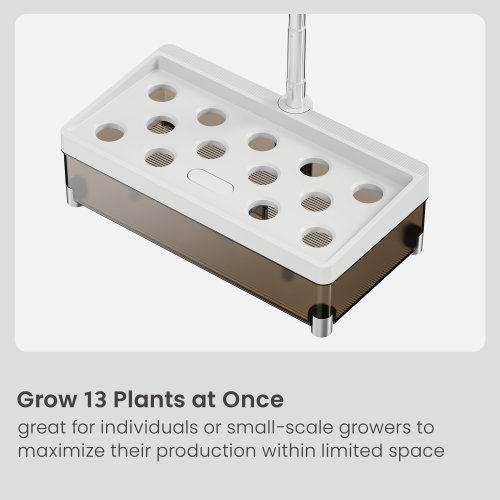 Stylish Transparent-Tank Indoor Gardening System (Basic Control Panel) HGS15-1CB Designed for Style, Built for Growth. from china(chinese)