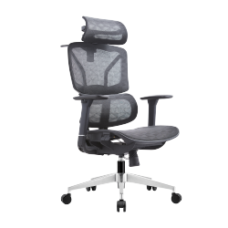Ergonomic Office Chair with Adjustable Headrest & 3D Armrests