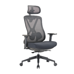 Ergonomic Office Chair with Adjustable Headrest, Backrest, Lumbar Support & Seat Depth
