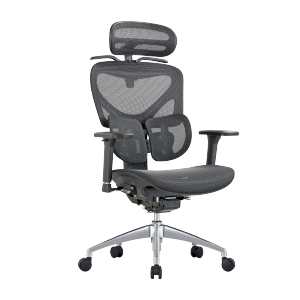 Ergonomic Office Chair with Adjustable Headrest, Backrest, Lumbar Support, Seat Depth & 4D Armrests