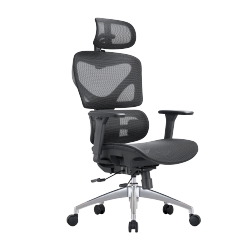 Ergonomic Office Chair with Adjustable Headrest, Backrest, Lumbar Support & Seat Depth