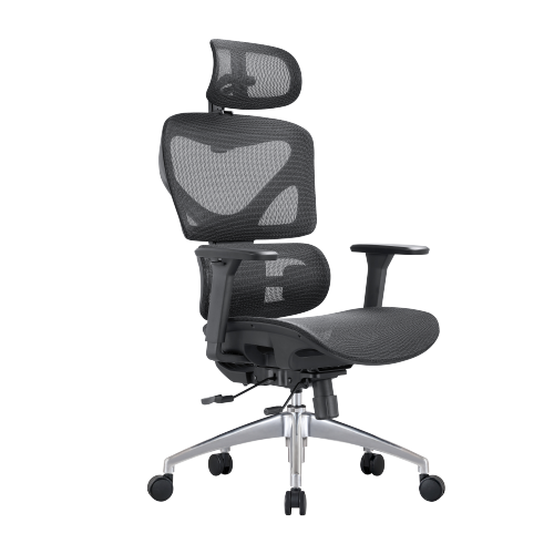 Ergonomic Office Chair with Adjustable Headrest, Backrest, Lumbar Support & Seat Depth OCH01-9 Your Personalized Productivity Hub. from china(chinese)