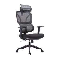 ErgonomiOffice Chair with Adjustable Headrest