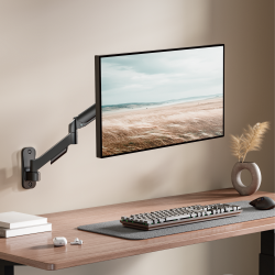 Super Economical Wall-Mounted Mechanical Spring Monitor Arm