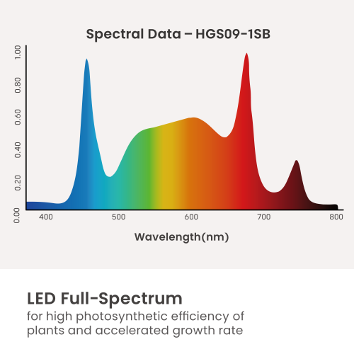 Minimalist Wall-Mounted LED Plant Stand HGS10-1MB  Pure simplicity. Fits every style. from china(chinese)