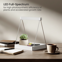 Minimalist Tabletop LED Plant Stand