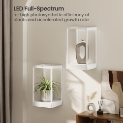 Minimalist Wall-Mounted LED Plant Stand