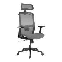Ergonomic Mesh Office Chair with Headrest