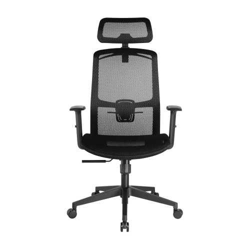 Ergonomic Mesh Office Chair with Headrest CH05-18 Sit Healthier, Work More Focused from china(chinese)
