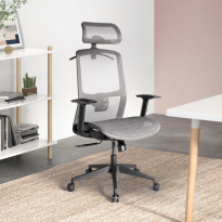 Ergonomic Mesh Office Chair with Headrest