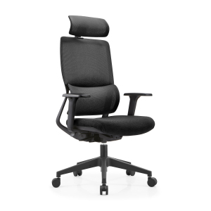 Ergonomic Office Chair with Adjustable Headrest & Flexi-Back Design