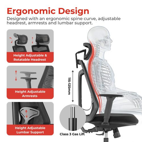 Ergonomic Office Chair CH05-40 Good Posture Enhances Focus from china(chinese)