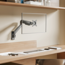 Affordable Mechanical Spring Monitor Wall Mount