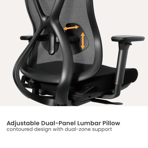 Ergonomic Office Chair with Adjustable Headrest, Backrest, Lumbar Support & Seat Depth OCH01-5 Precision Balanced for Extended Comfort. from china(chinese)