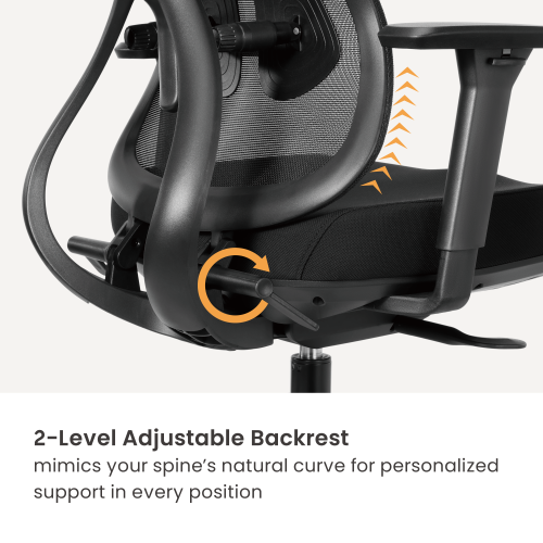 Ergonomic Office Chair with Adjustable Headrest, Backrest, Lumbar Support & Seat Depth OCH01-5 Precision Balanced for Extended Comfort. from china(chinese)