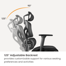 Ergonomic Office Chair with Adjustable Headrest, Backrest, Lumbar Support & Seat Depth