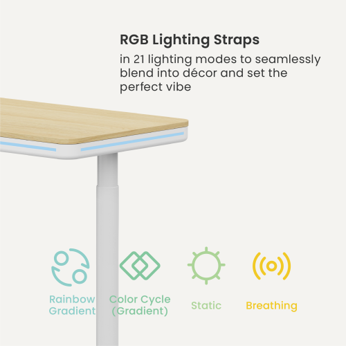 Trendsetting Single-Motor Sit-Stand Desk with RGB Lighting S18-22D-BL Brings next-gen style and performance to modern workspaces. from china(chinese)