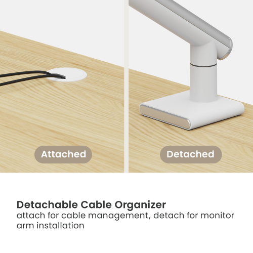 Trendsetting Single-Motor Sit-Stand Desk with RGB Lighting S18-22D-BL Brings next-gen style and performance to modern workspaces. from china(chinese)